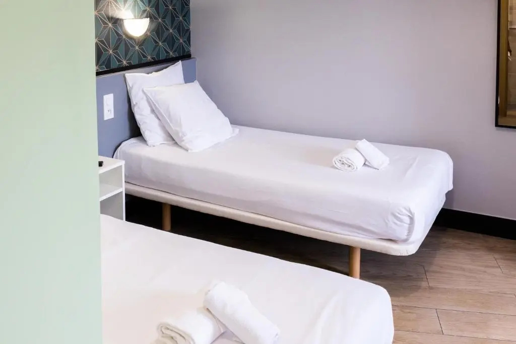 Standard Double room (twin beds)
