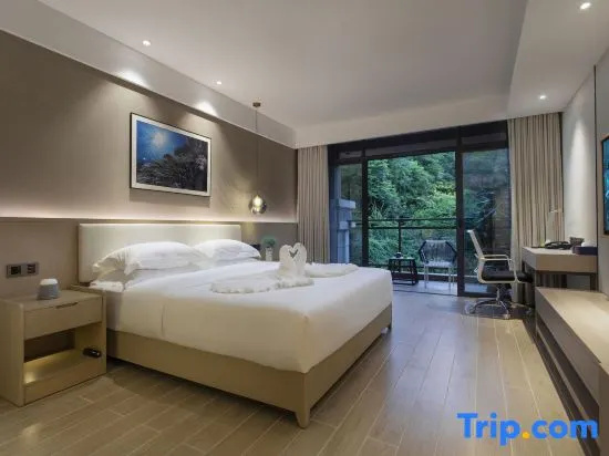 Deluxe Double room (full double bed)