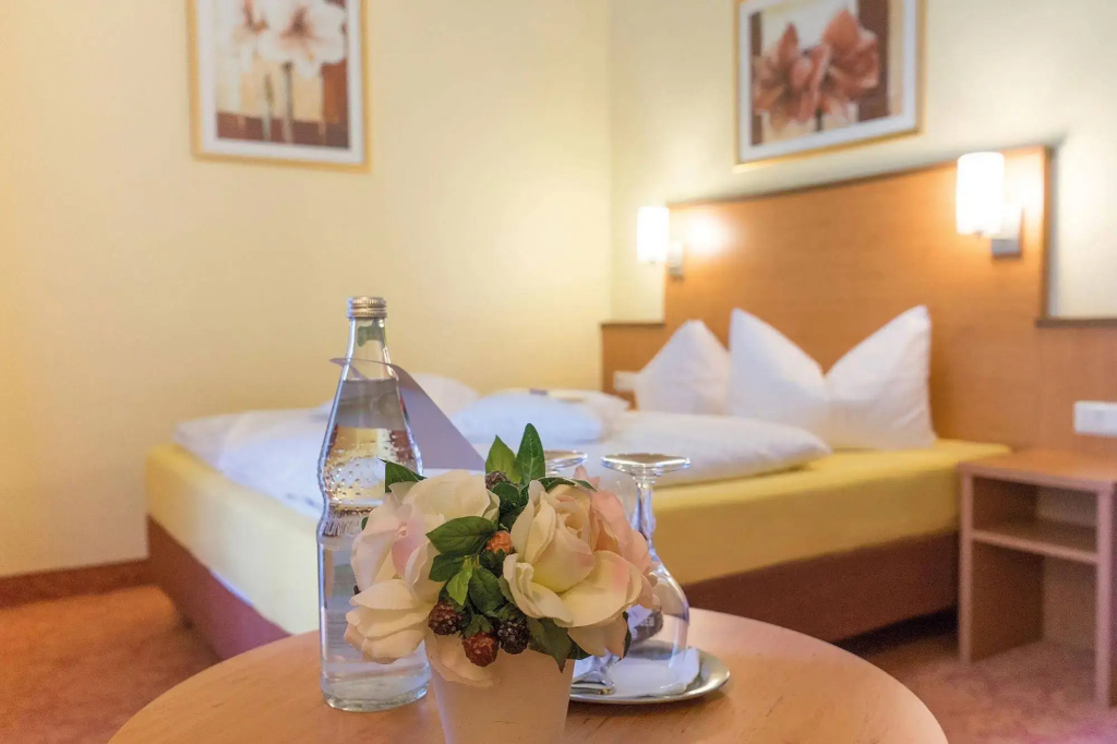 Vitalhotel am Stadtpark - Général