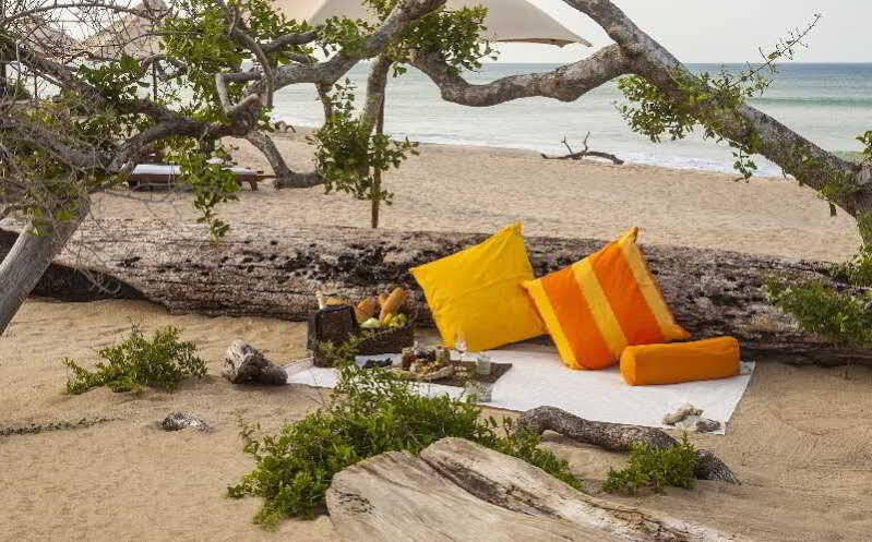 Jungle Beach Resort
