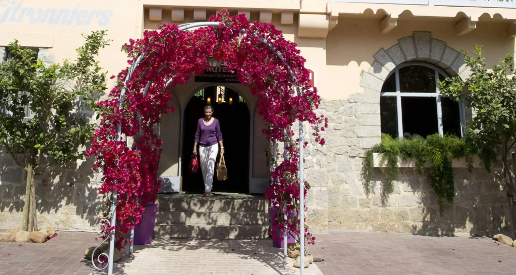 Hôtel Le Mas des Citronniers