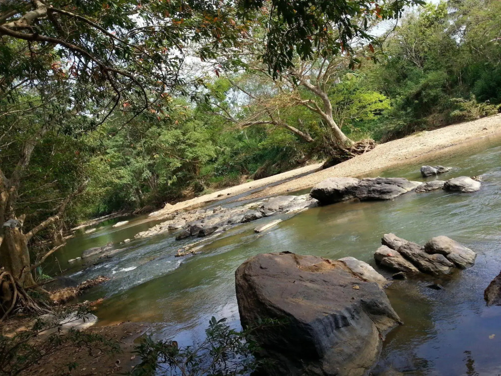 Athgira River Camp