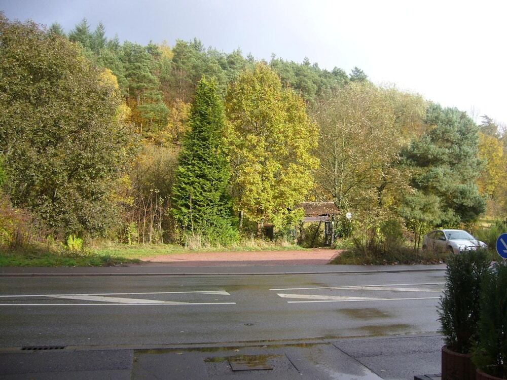 Image 16
