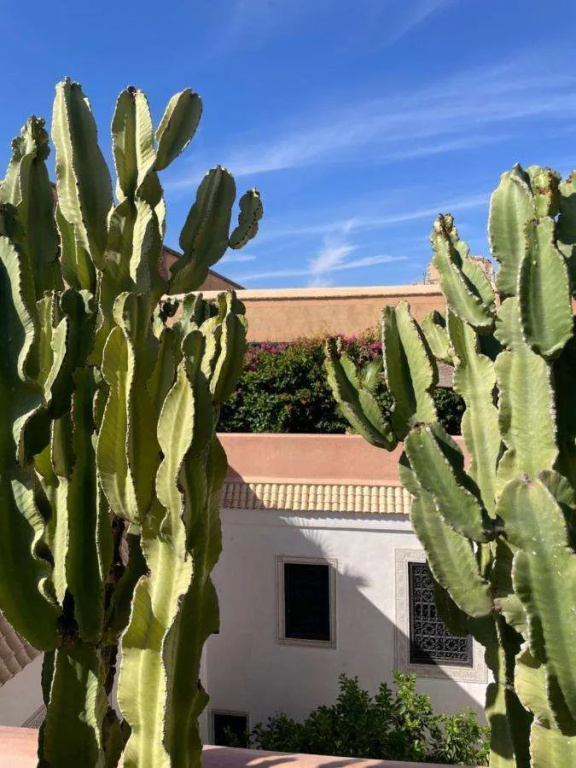 Hotel photo 45
