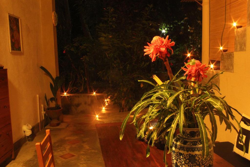 Dionis Villa