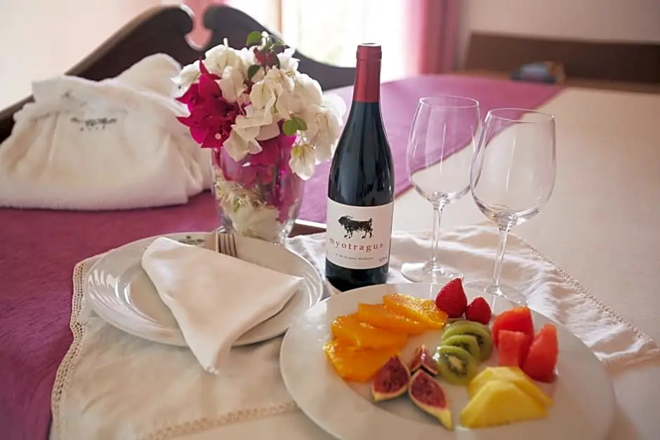 Hotel Son Trobat Wellness & Spa - Chambres