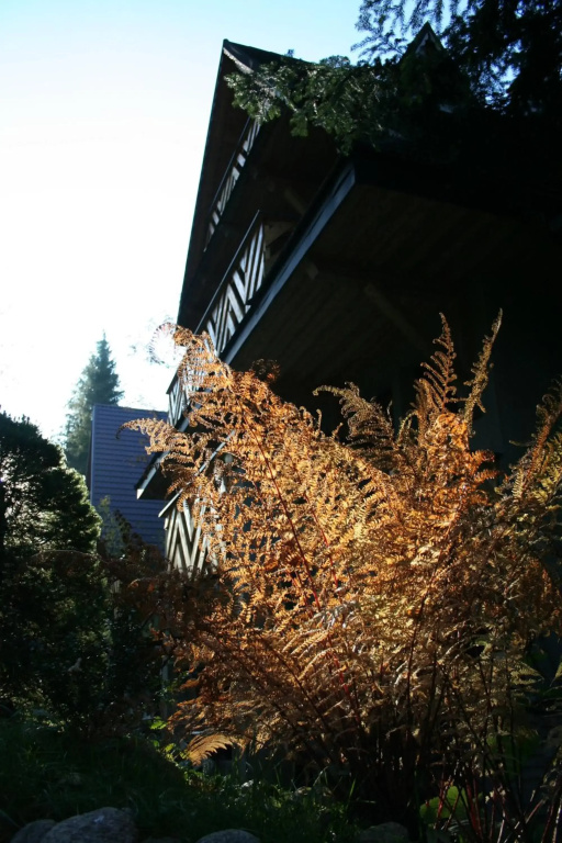 Hotel photo 36