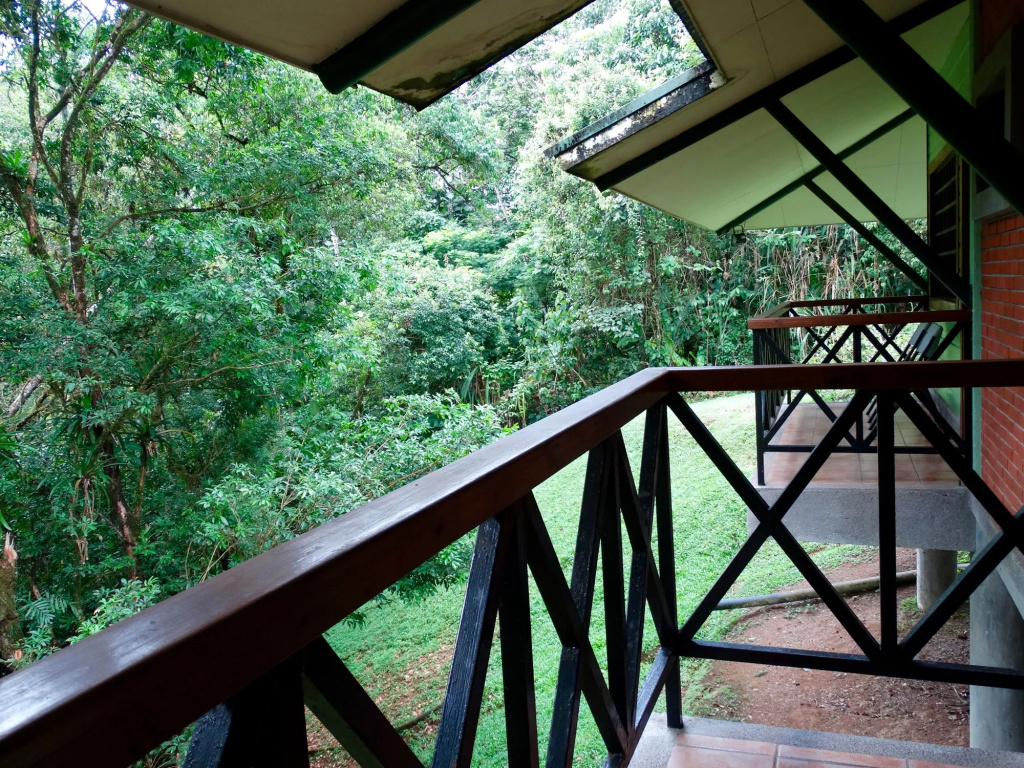 Balcony & Terrace