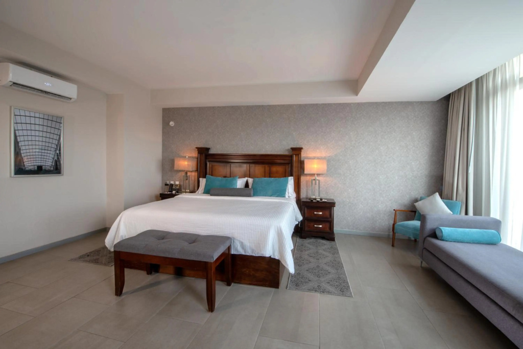 Gran Hotel Concordia San Luis Potosí - Général