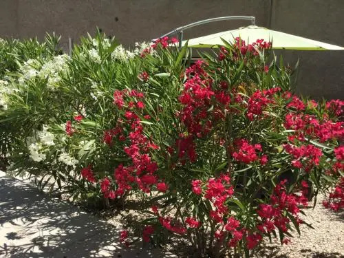 Mas De Lair Maison De Charme