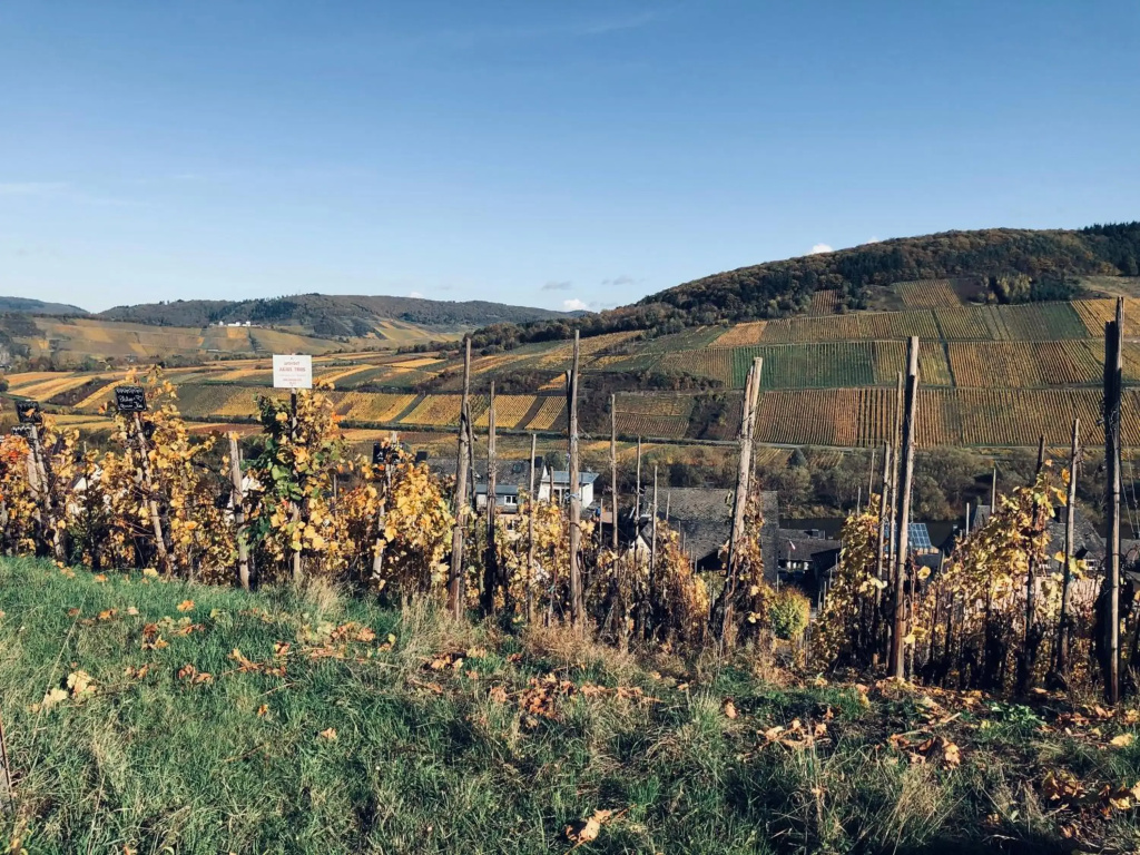 Ferienhaus Plan B. Wittlich