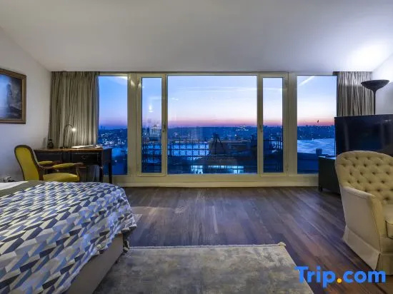 Standard Penthouse room