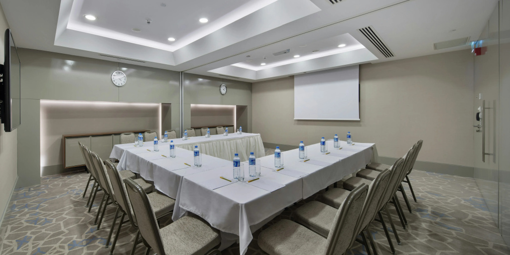 Hilton Garden Inn Istanbul Airport - Général