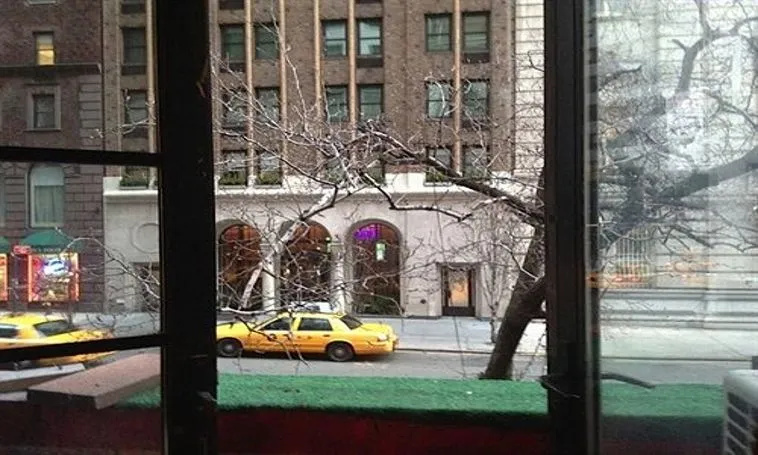 238 Madison Ave Apartment