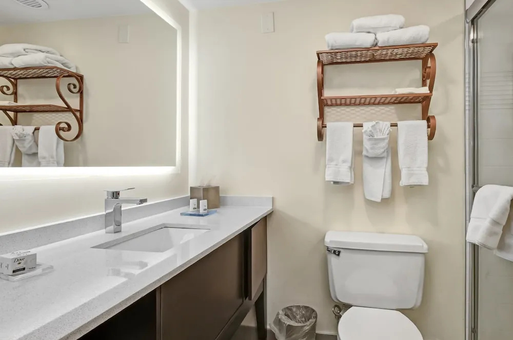 Holiday Inn Piscataway Somerset by IHG - Chambres