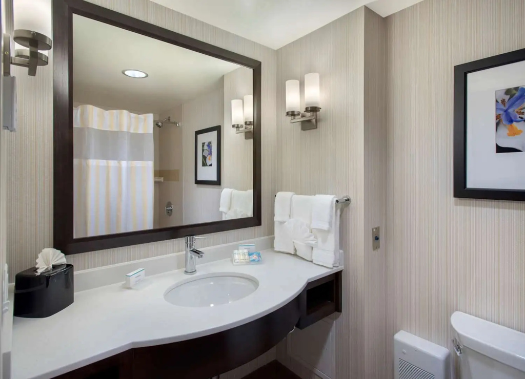 Hilton Garden Inn Chicago Downtown Riverwalk - Général