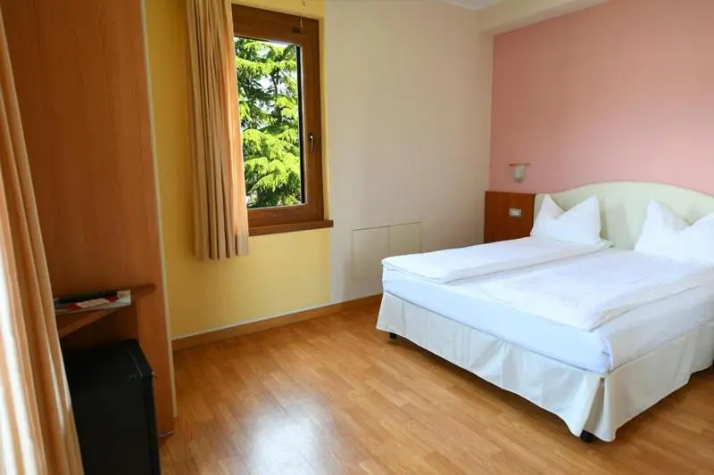 Standard Double room with balcony and with lake view (full double bed)