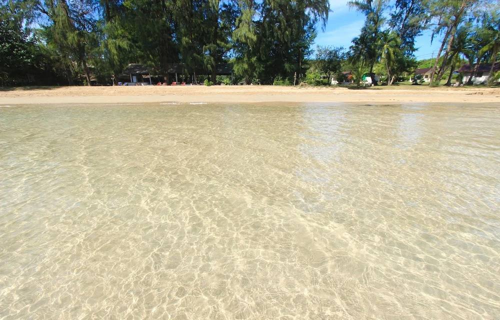 Beach & Waterfront