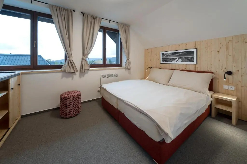 Standard Double room (full double bed)