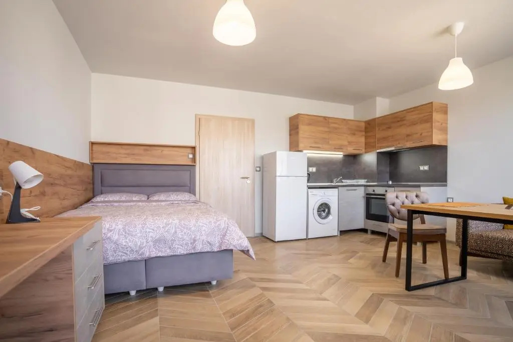 1 Bedroom Apartment