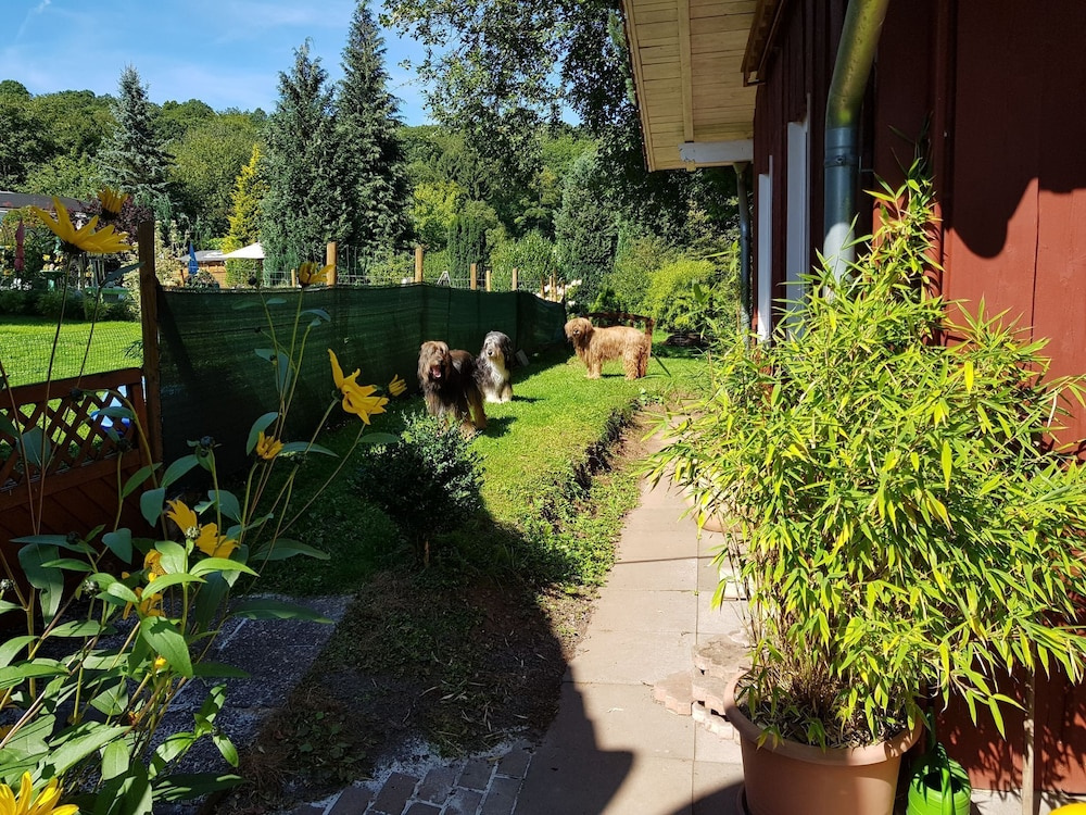 Blissful Holiday Home In battenberg With Fenced Garden