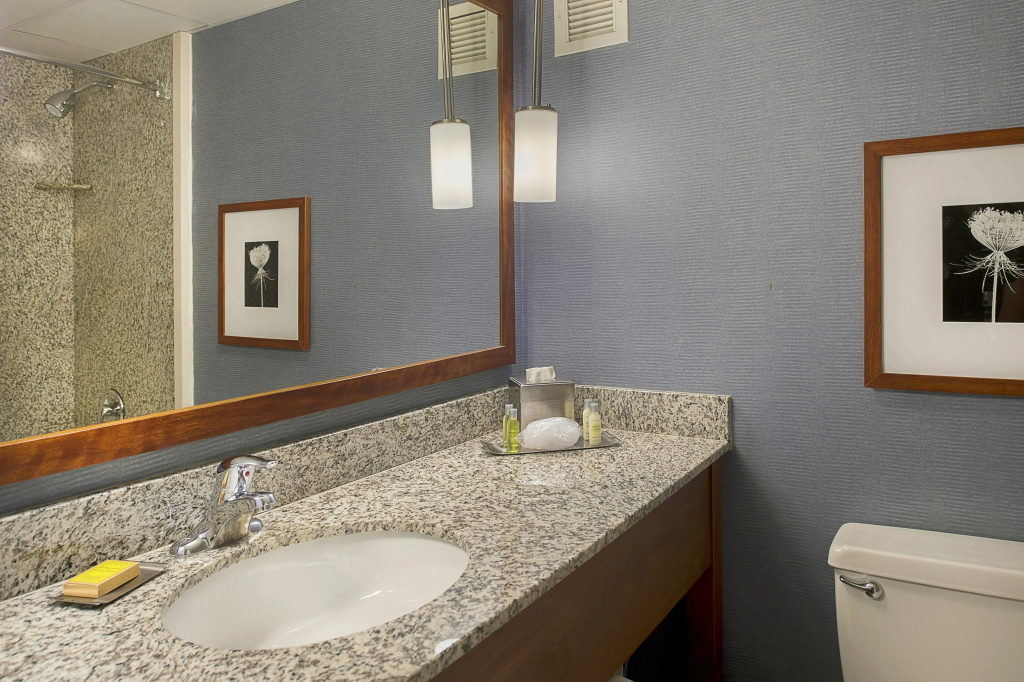 DoubleTree by Hilton St. Louis - Westport - Général