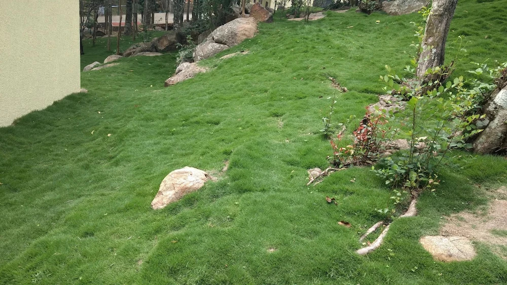 The Brook - Resorts & Spa - Yercaud - фото 43