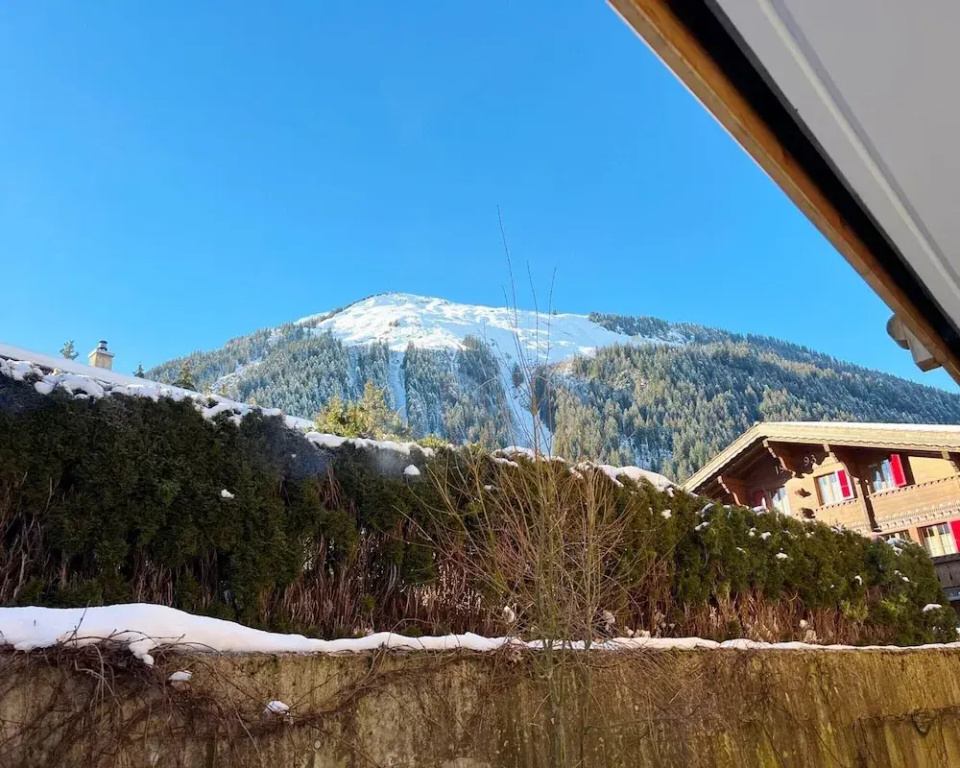 Contemporary Swiss Escape