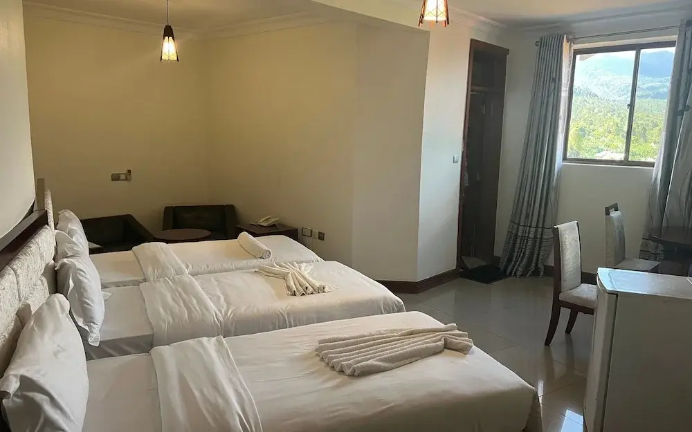 Nejobugg palace hotel - Chambres