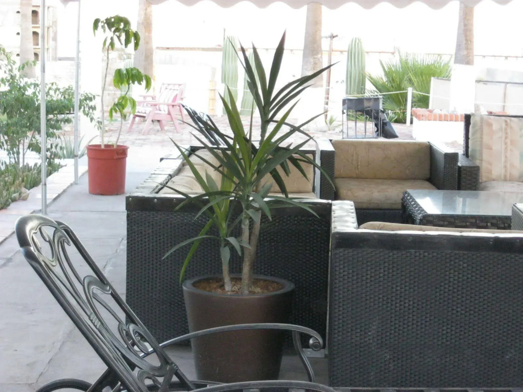 Las Palmas Hotel - Général