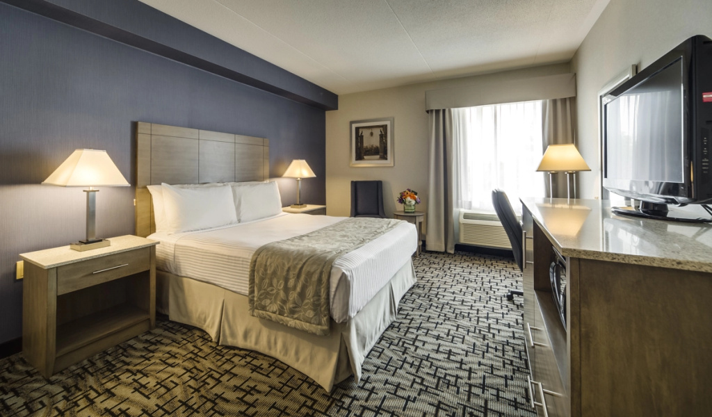 Monte Carlo Inn Oakville Suites - Chambres