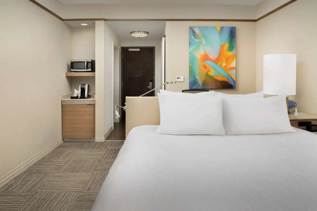 Hilton Garden Inn Charlotte Airport - Chambres