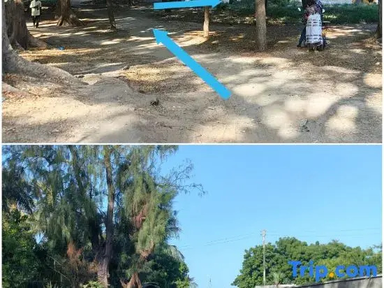 Sawa Sawa Beach Hotel & Backpackers