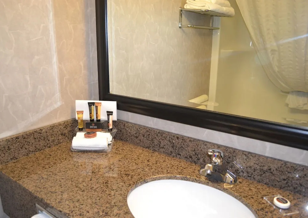 Royal Hotel West Edmonton, Trademark Collection by Wyndham - Chambres