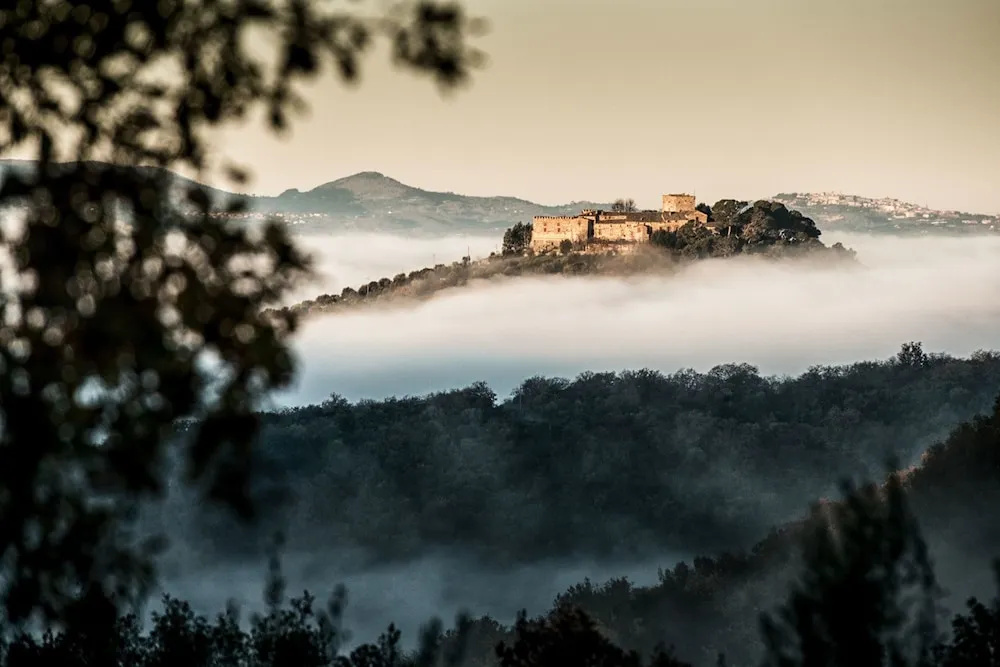 Country House Montali - Général