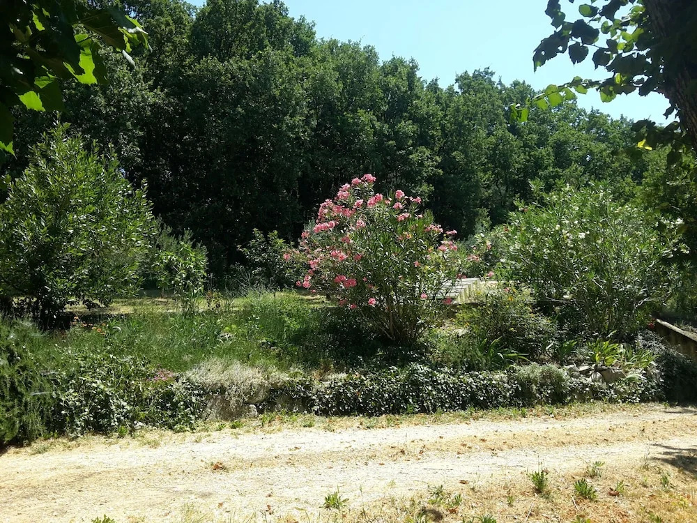Snug Farmhouse in Provence-alpes-riviera With Swimming Pool