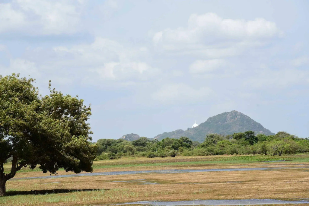 Indika Lake Resort - фото 5