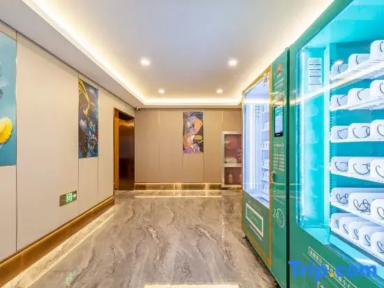 Lvnuo Zhixuan Hotel (Tianjin Dongli Binhai International Airport)