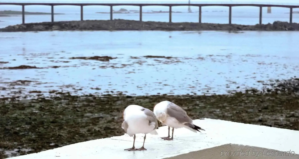 ibis Roscoff bord de mer - Général