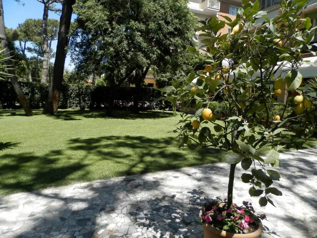 Hotel Mediterraneo - Chambres