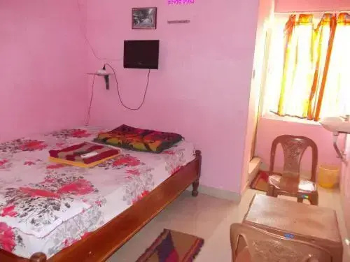 Sun Temple Hotel, Konark - Général