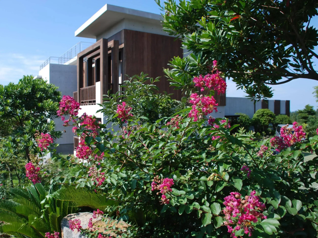 Jejueco Suites