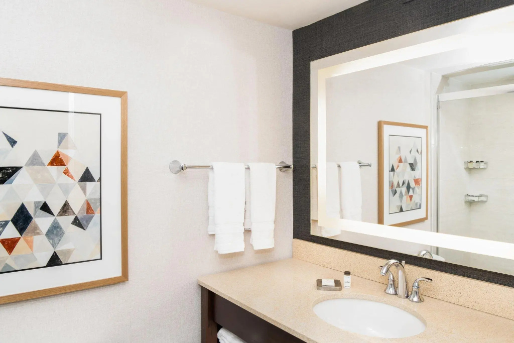 Sheraton Ann Arbor Hotel - Chambres