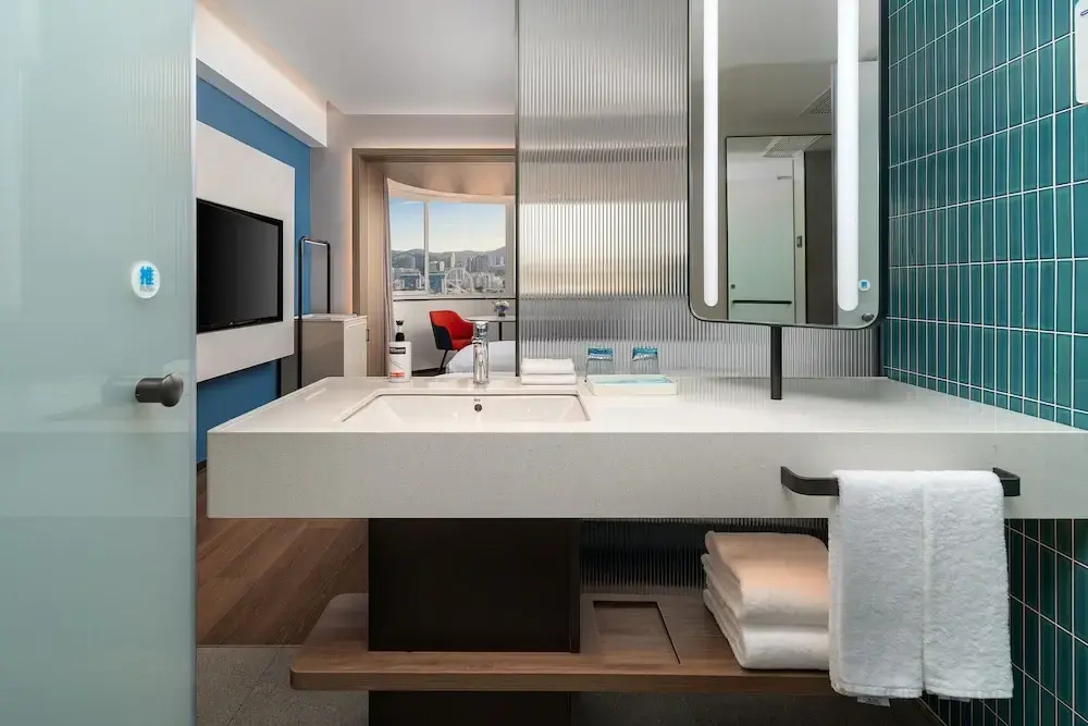 Standard Double room with city view (twin beds)