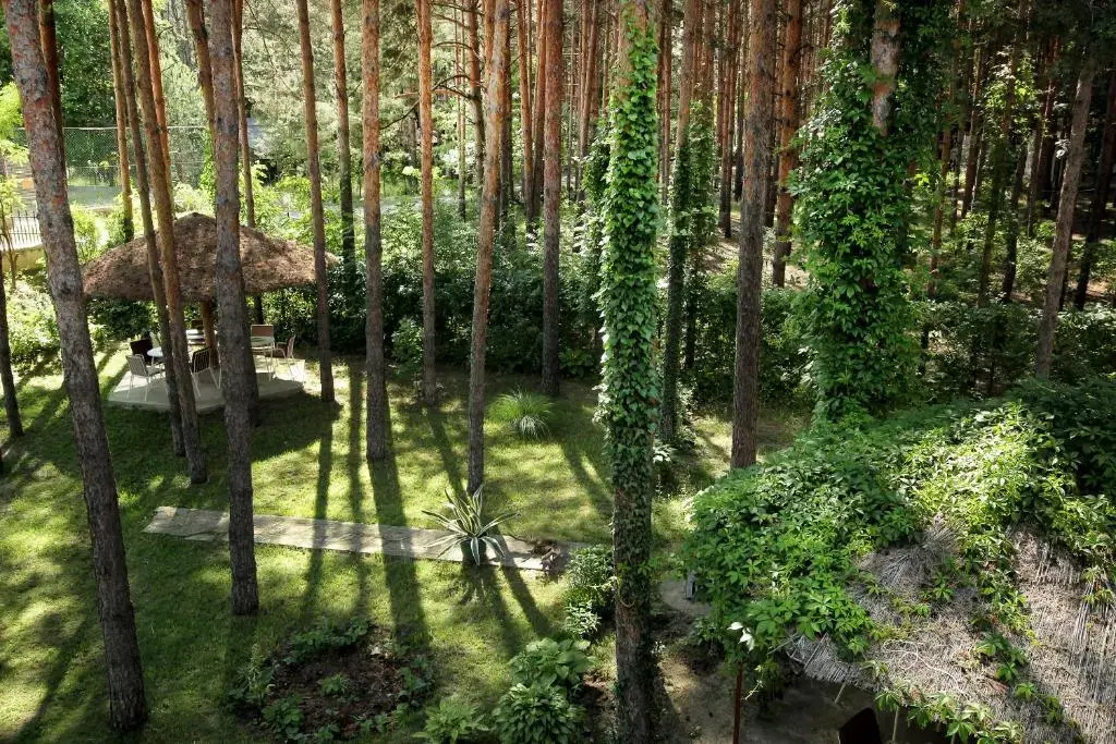 Vila Dunavski Raj - Chambres