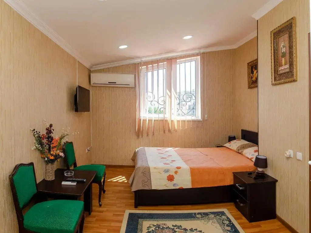 Standard Double room with mountain view (full double bed)