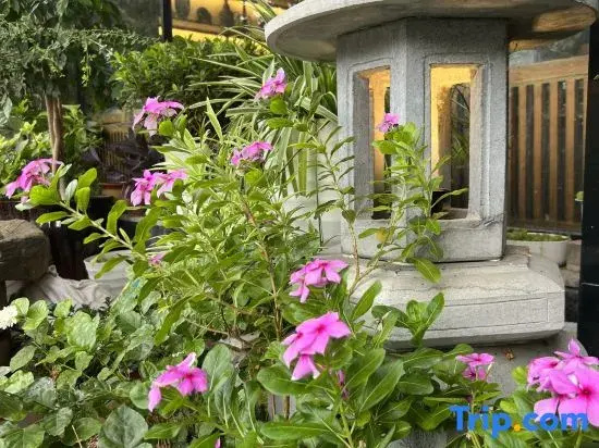 Songshanju Boutique Hostel