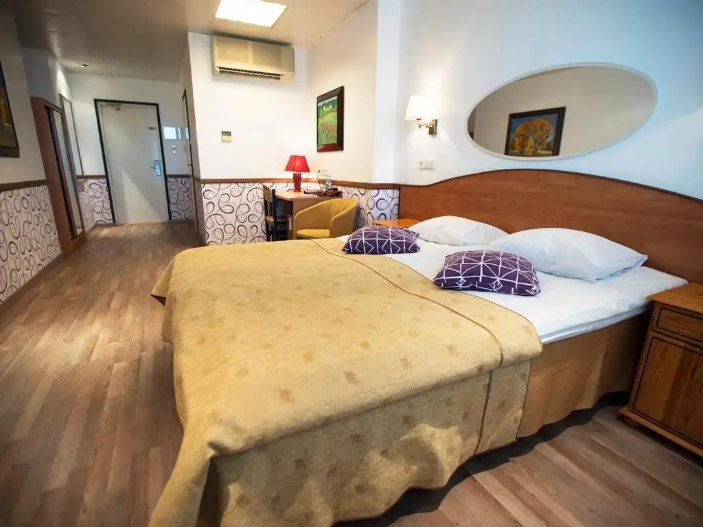 Standard Double room (full double bed)
