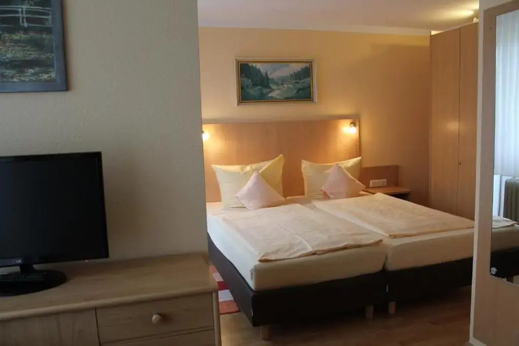 Comfort Double room (full double bed)