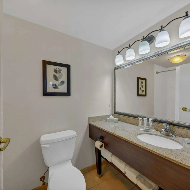 Country Inn & Suites by Radisson, Braselton, GA - Général